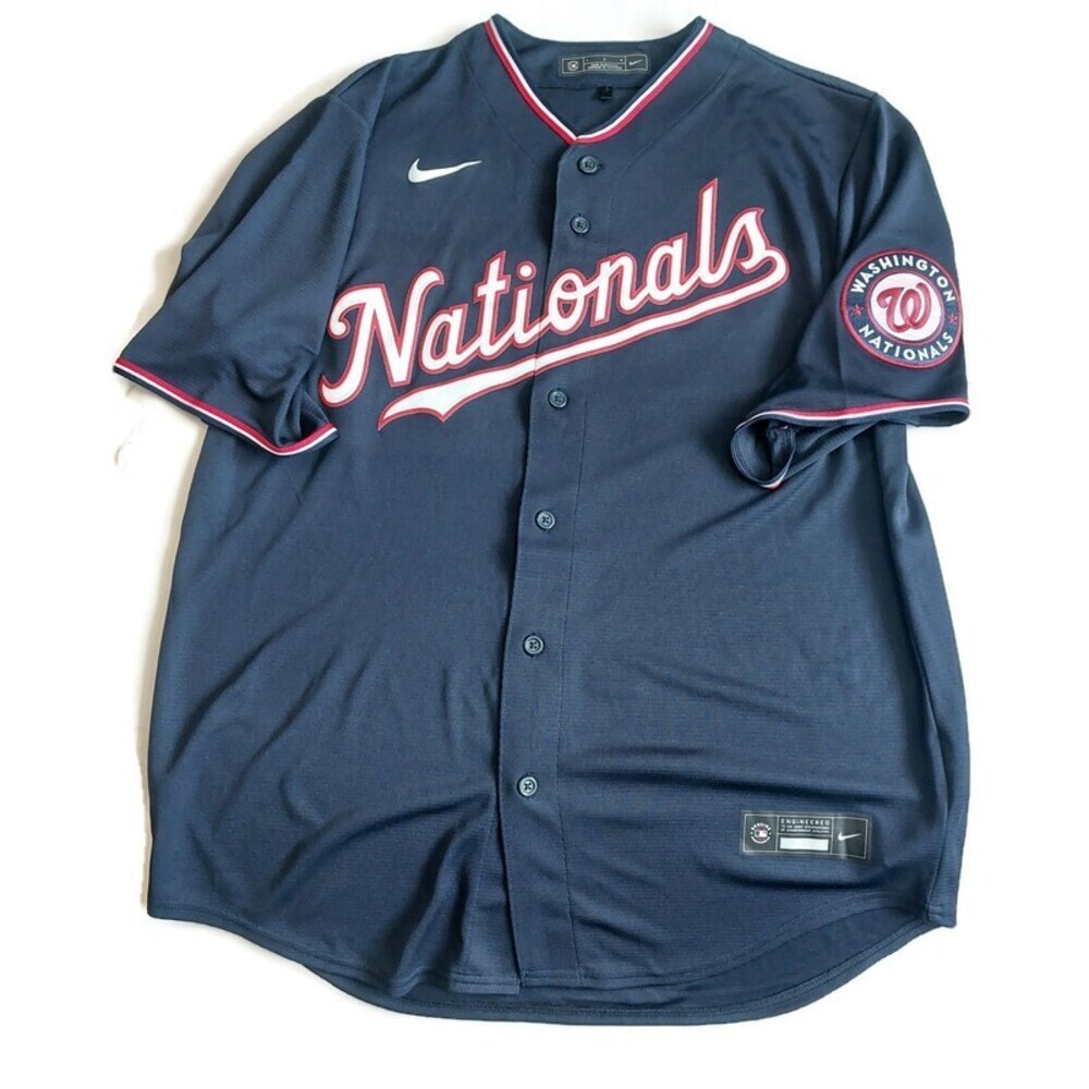 Nike Washington Nationals Mens Large Full Button Alternate Jersey Blue Blank MLB